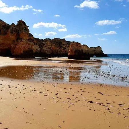 Vista Da Praia, Apartment